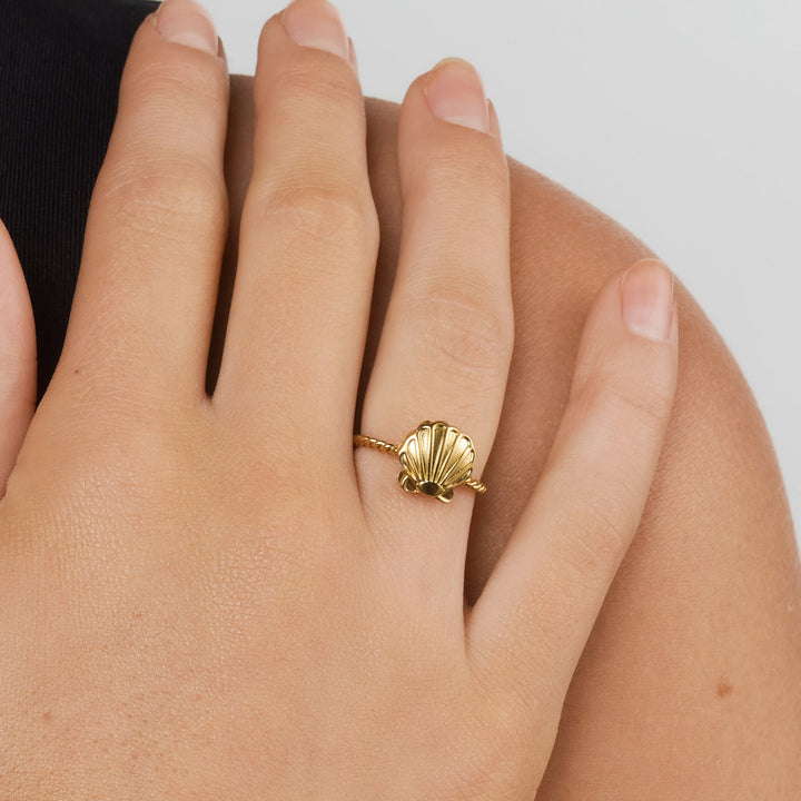 Penny - Anillo de Concha Ajustable de Acero Inoxidable