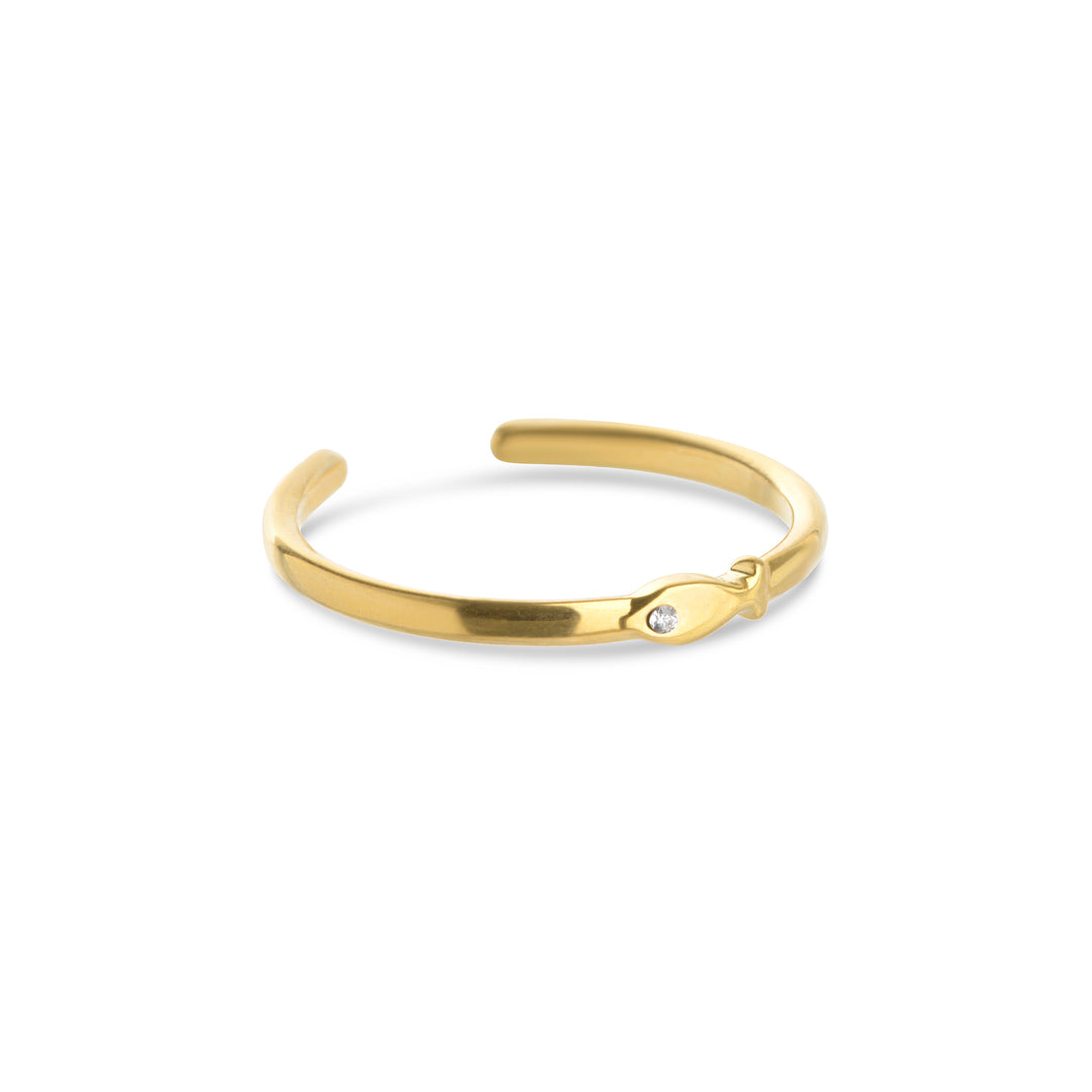 Aruba - Anillo de pez de acero inoxidable