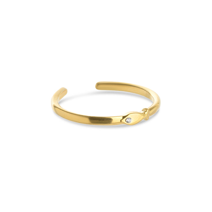 Aruba - Anillo de pez de acero inoxidable