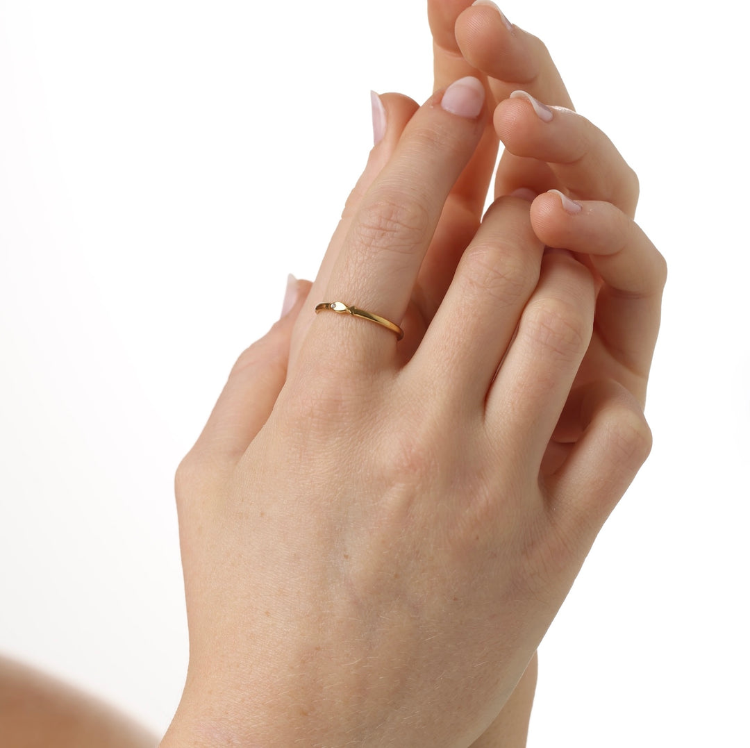 Aruba - Anillo de pez de acero inoxidable