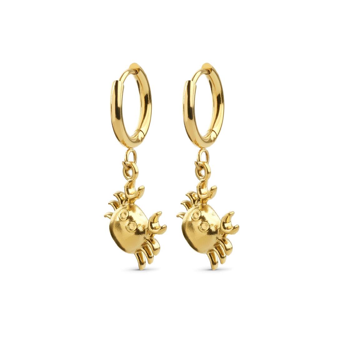 Clea - Pendientes de Cangrejo de Acero Inoxidable