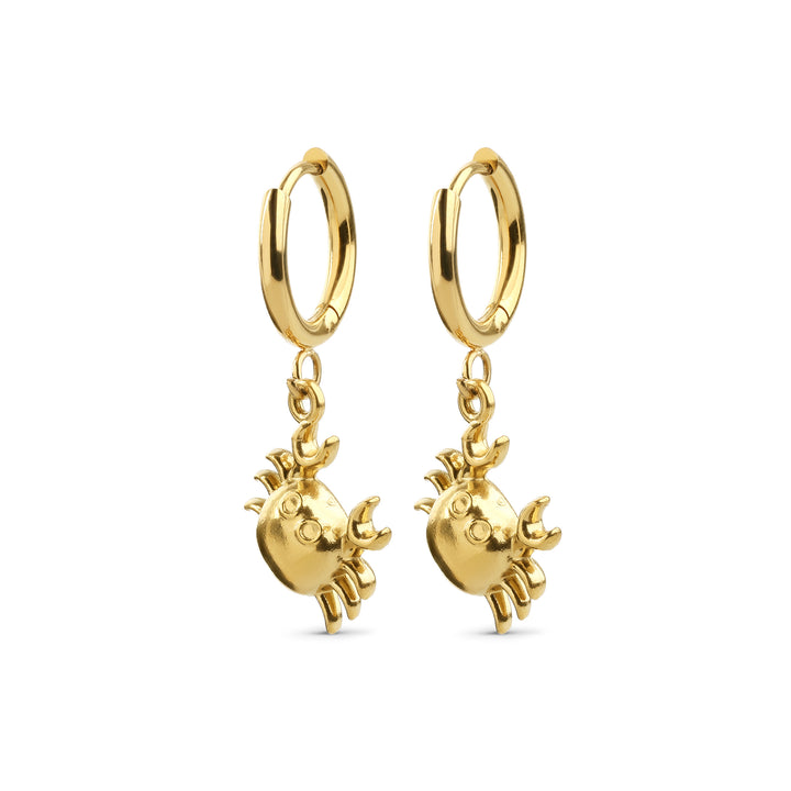 Clea - Pendientes de Cangrejo de Acero Inoxidable