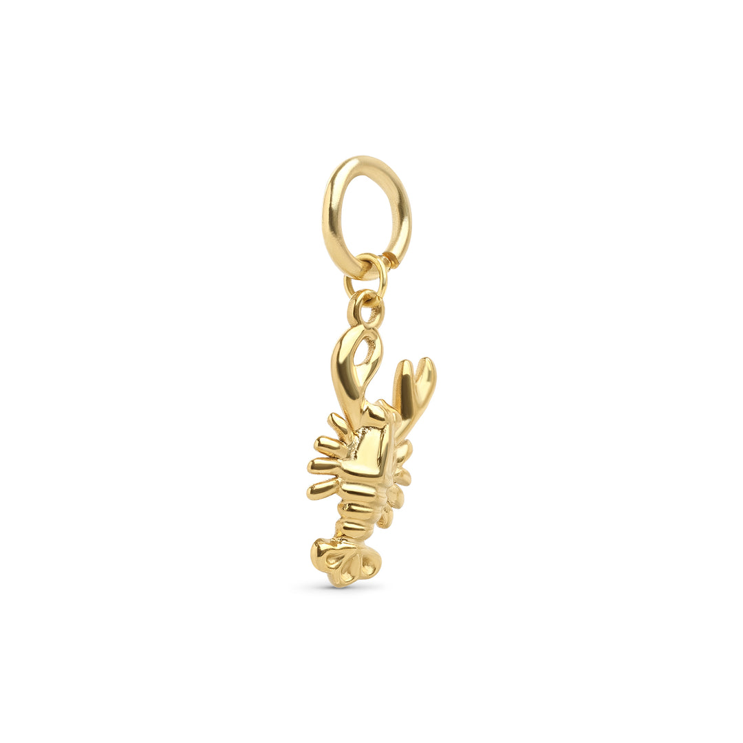 Cara - Charm de langosta en acero inoxidable
