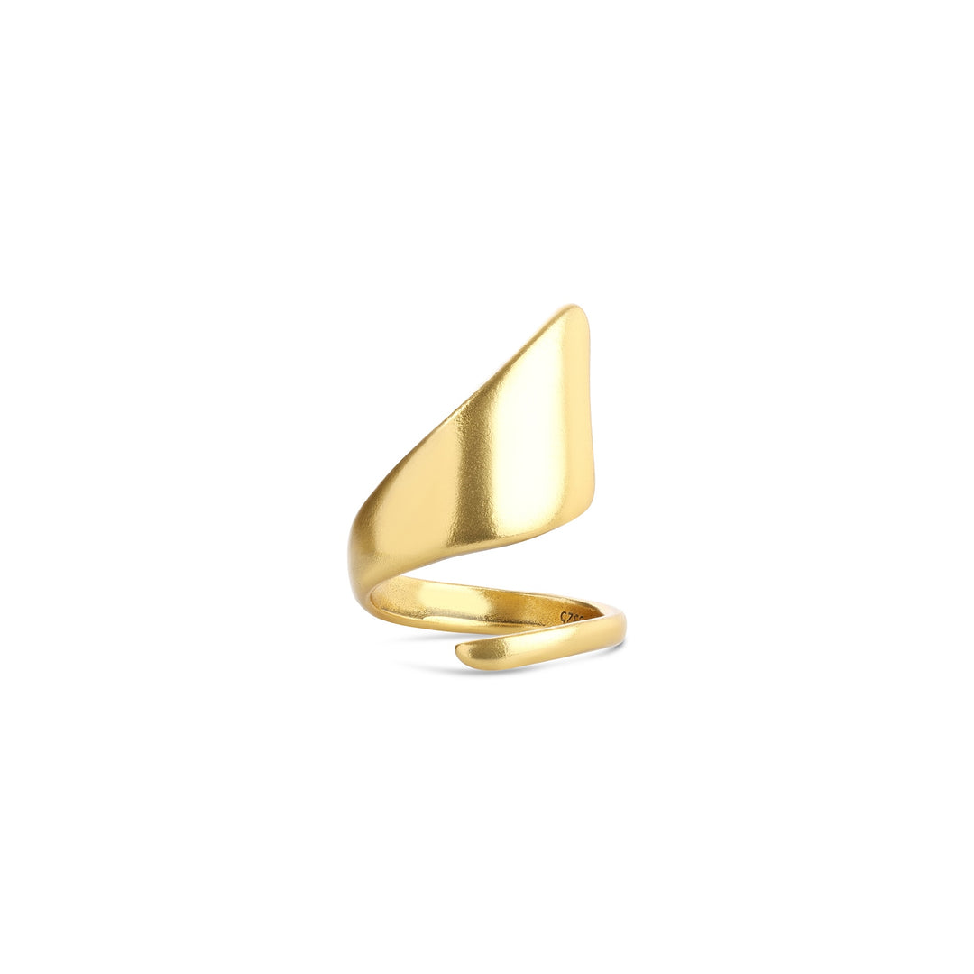 Anillo Ban - Envoltura Escultural de Acero Inoxidable